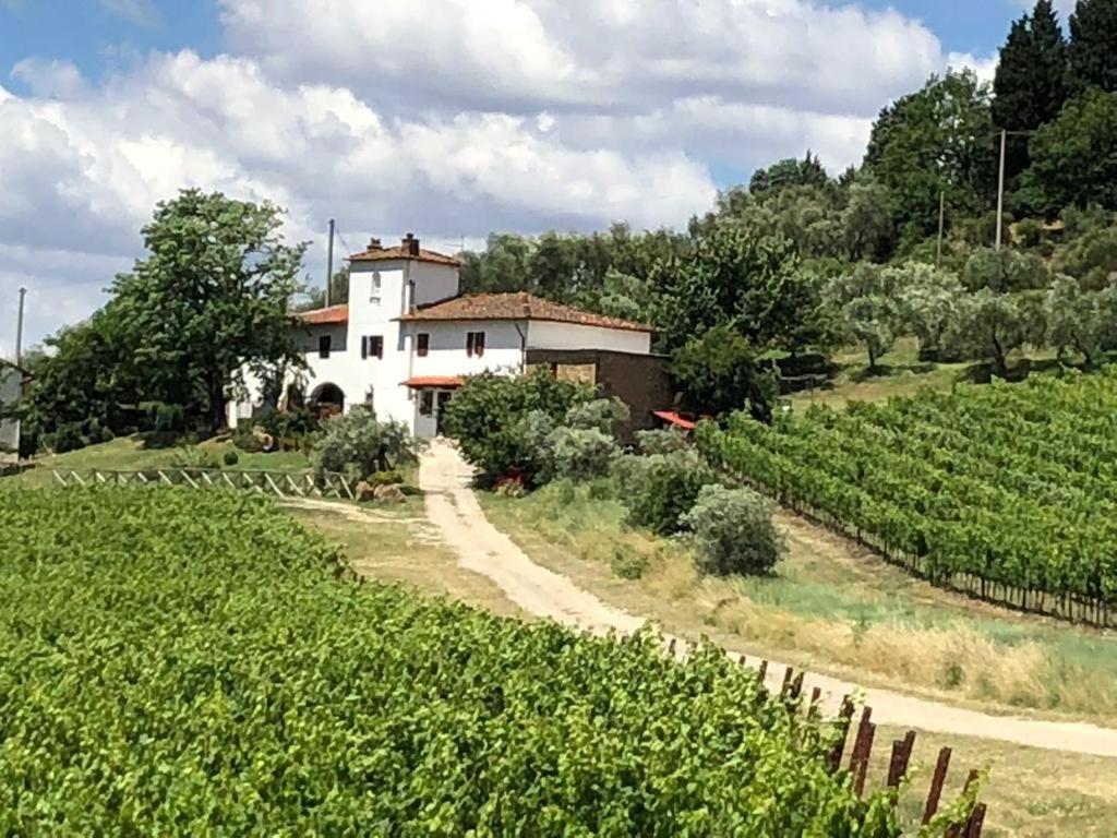 Villa Azienda Agricola Il Poggiolino à Pelago Extérieur photo