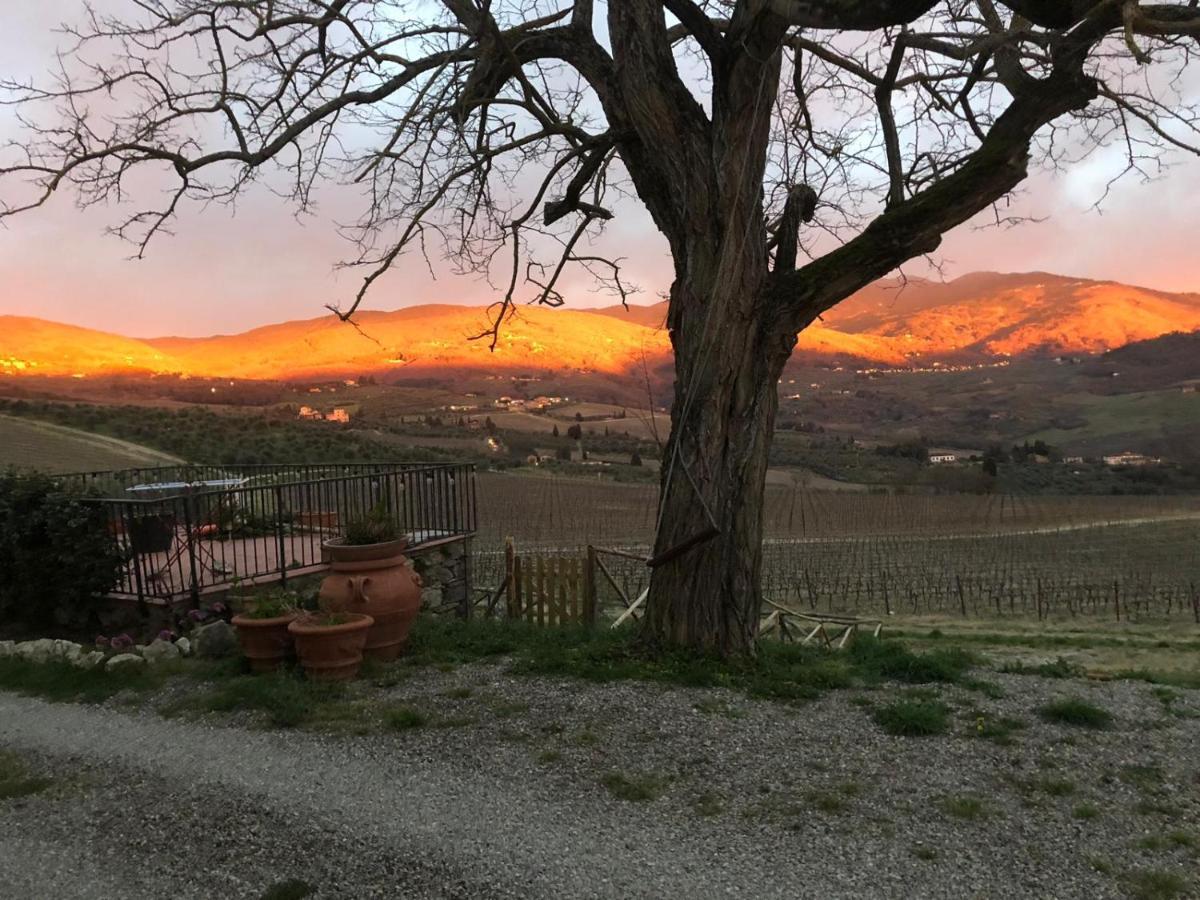 Villa Azienda Agricola Il Poggiolino à Pelago Extérieur photo