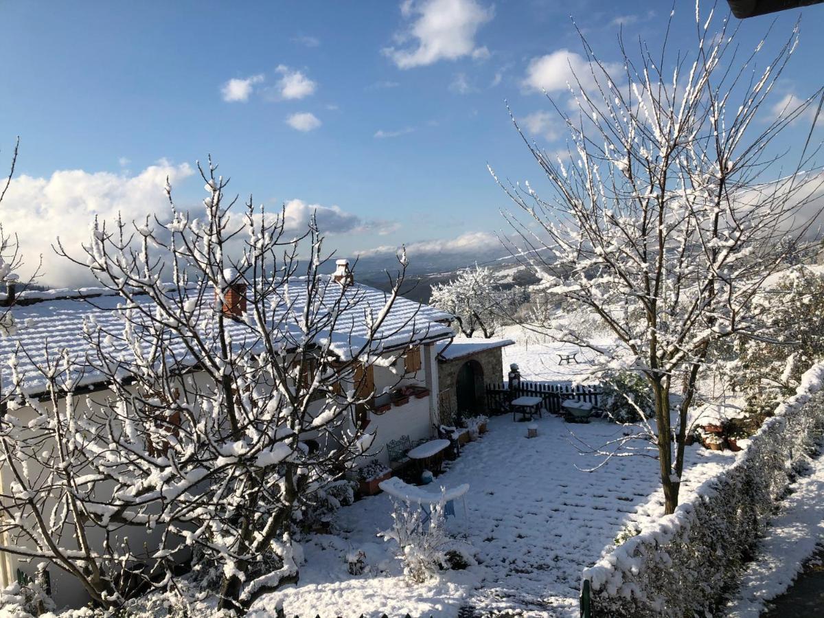 Villa Azienda Agricola Il Poggiolino à Pelago Extérieur photo