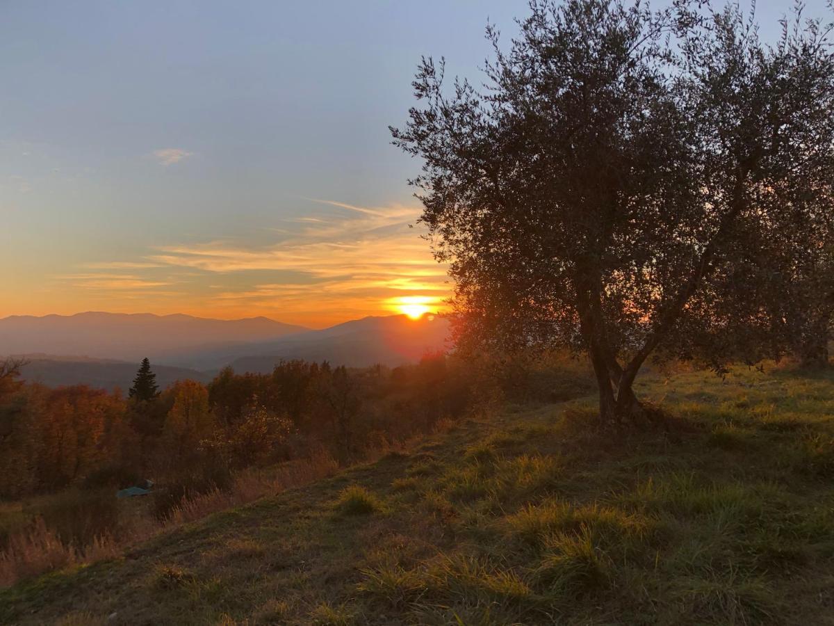 Villa Azienda Agricola Il Poggiolino à Pelago Extérieur photo