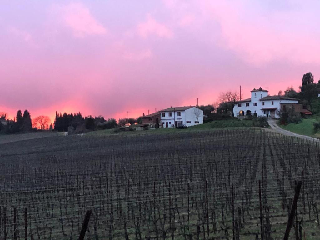 Villa Azienda Agricola Il Poggiolino à Pelago Extérieur photo